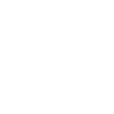 Conversation icon