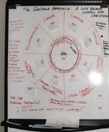 CCI Life-In-Balance wheel