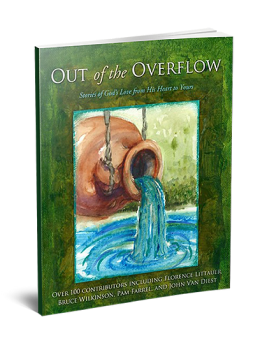 Out Of The Overflow Book Cover